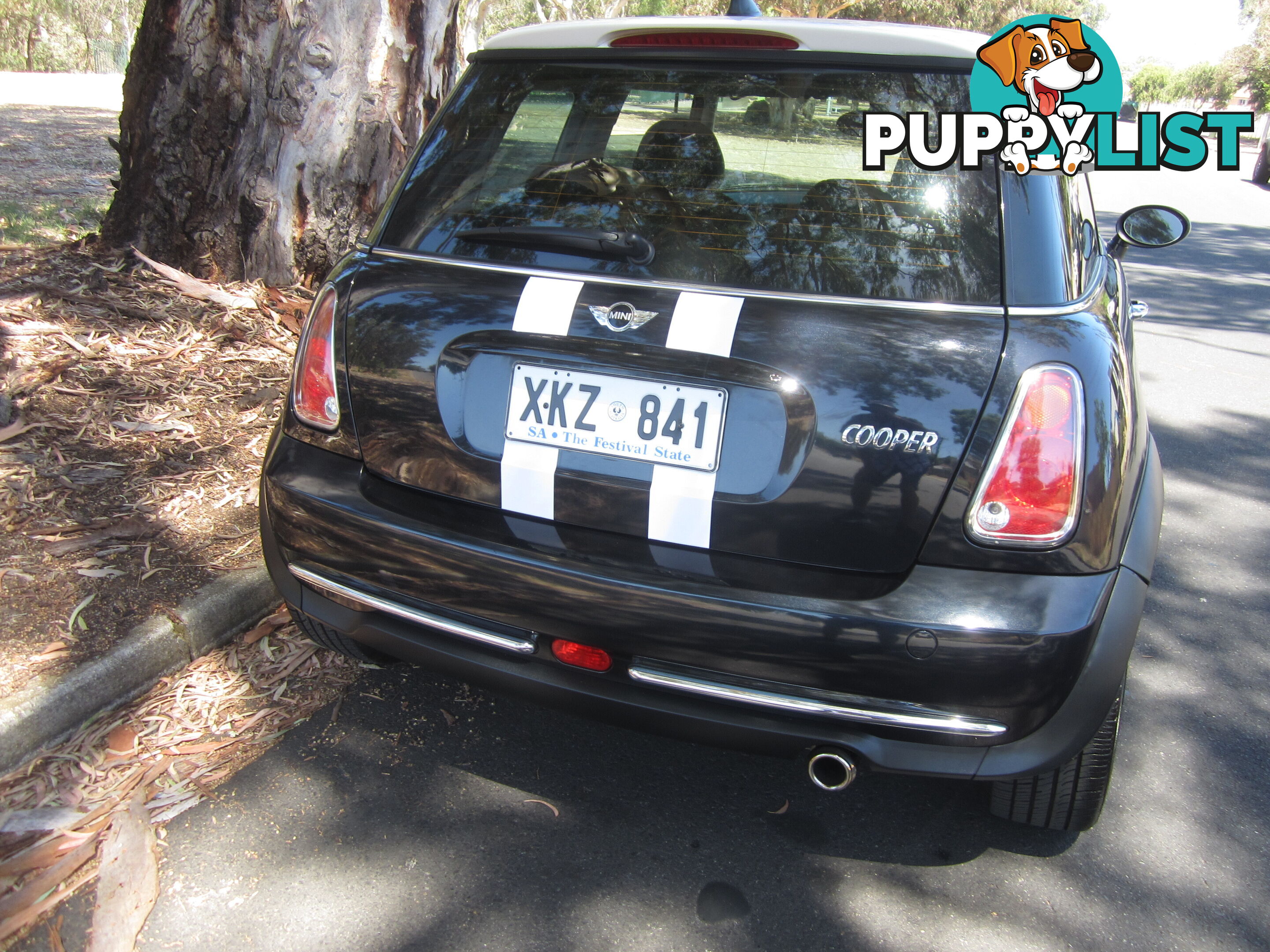 2006 MINI Hatch R50 COOPER Hatchback Manual