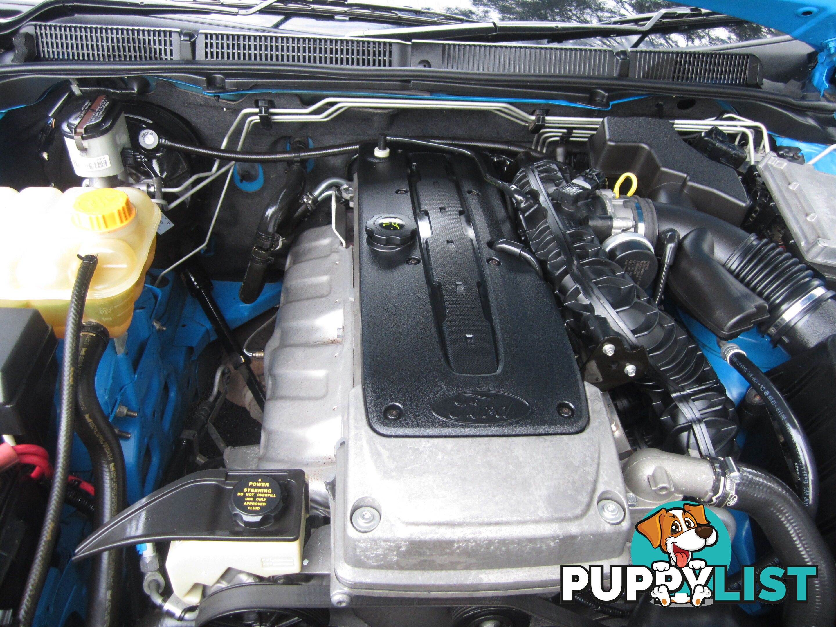 2009 Ford Falcon FG XR6 Sedan Automatic