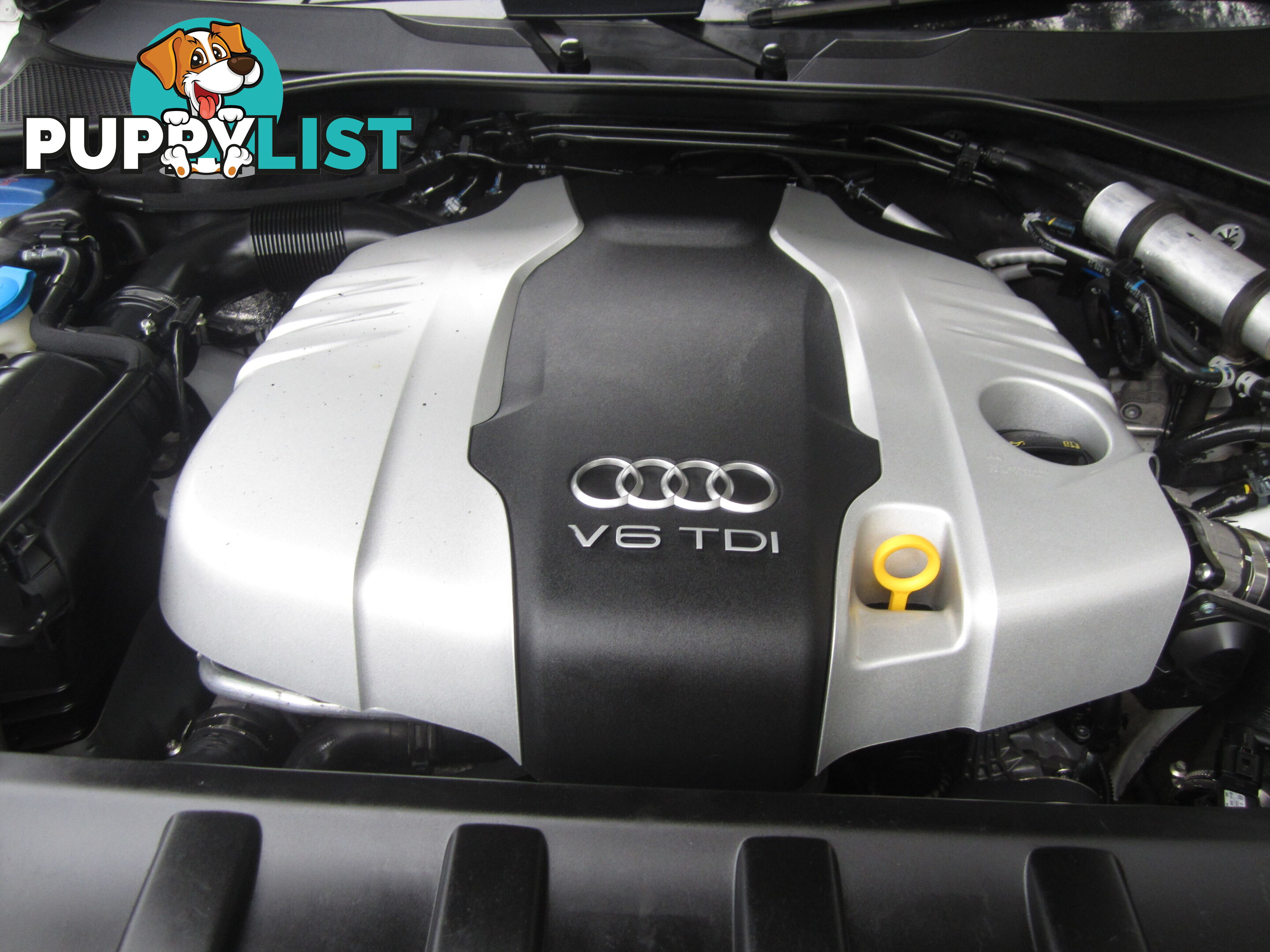 2013 Audi Q7 MY13 Q7 TDI SUV Automatic