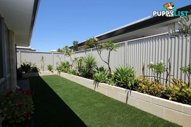 15 Bryde Mews Alkimos WA 6038