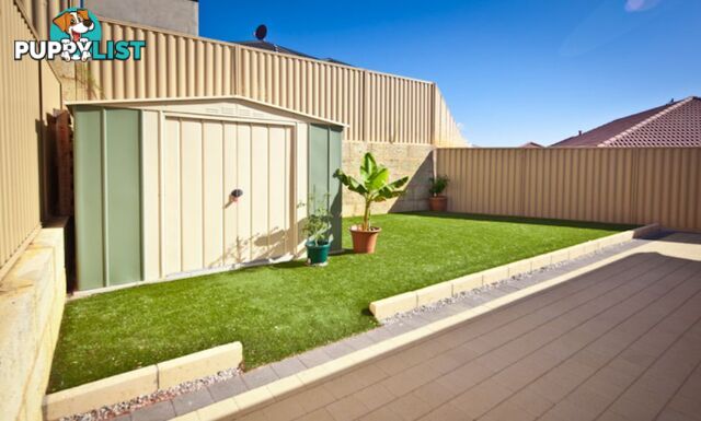 6 Ballymote Gardens Ridgewood WA 6030