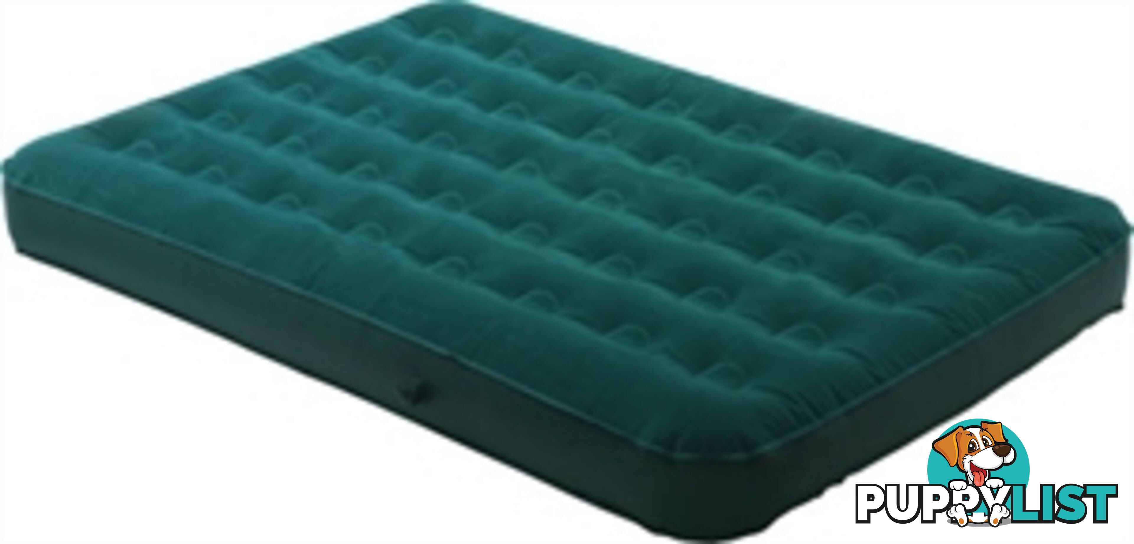 Air Bed Twin Size