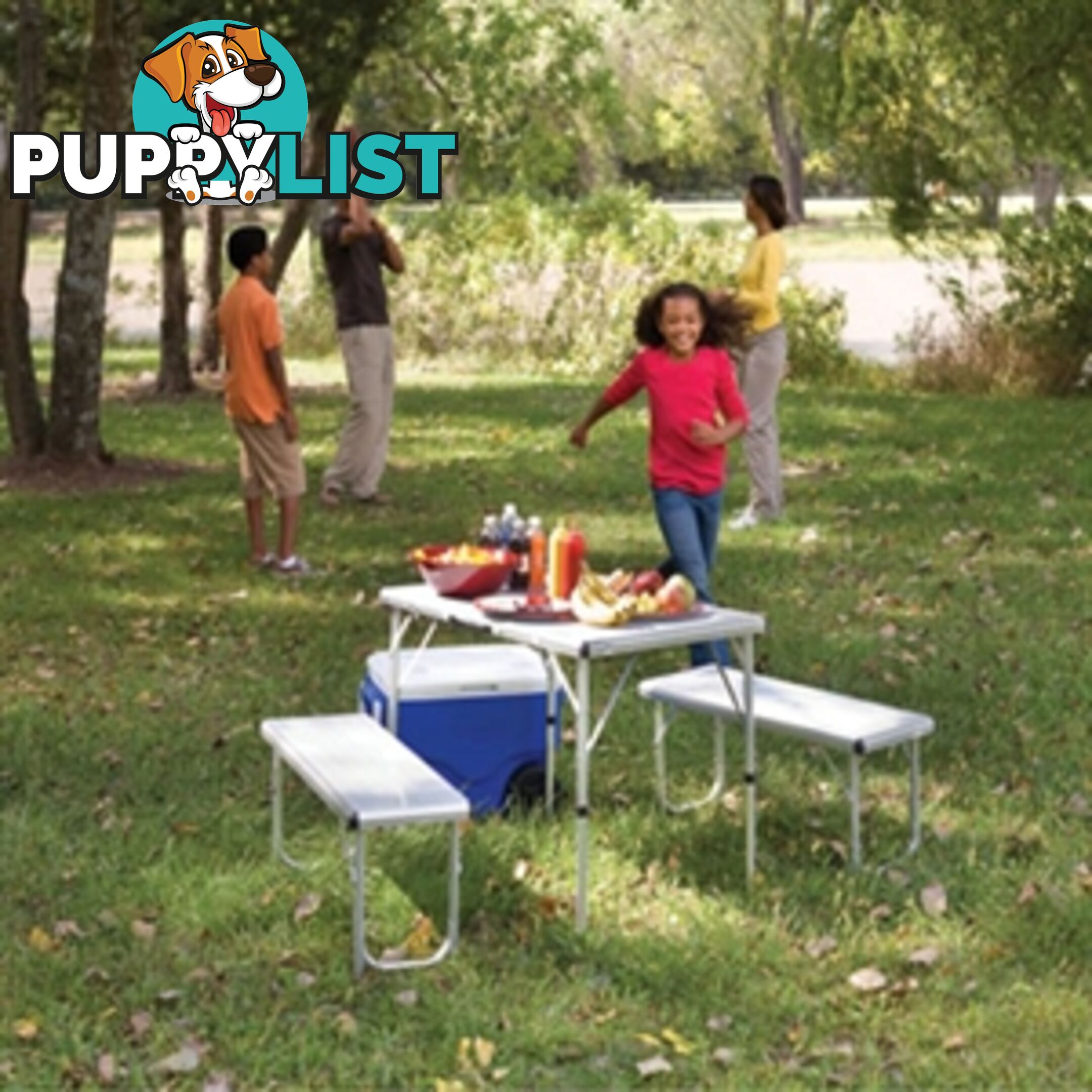 Pack - Away Picnic Table