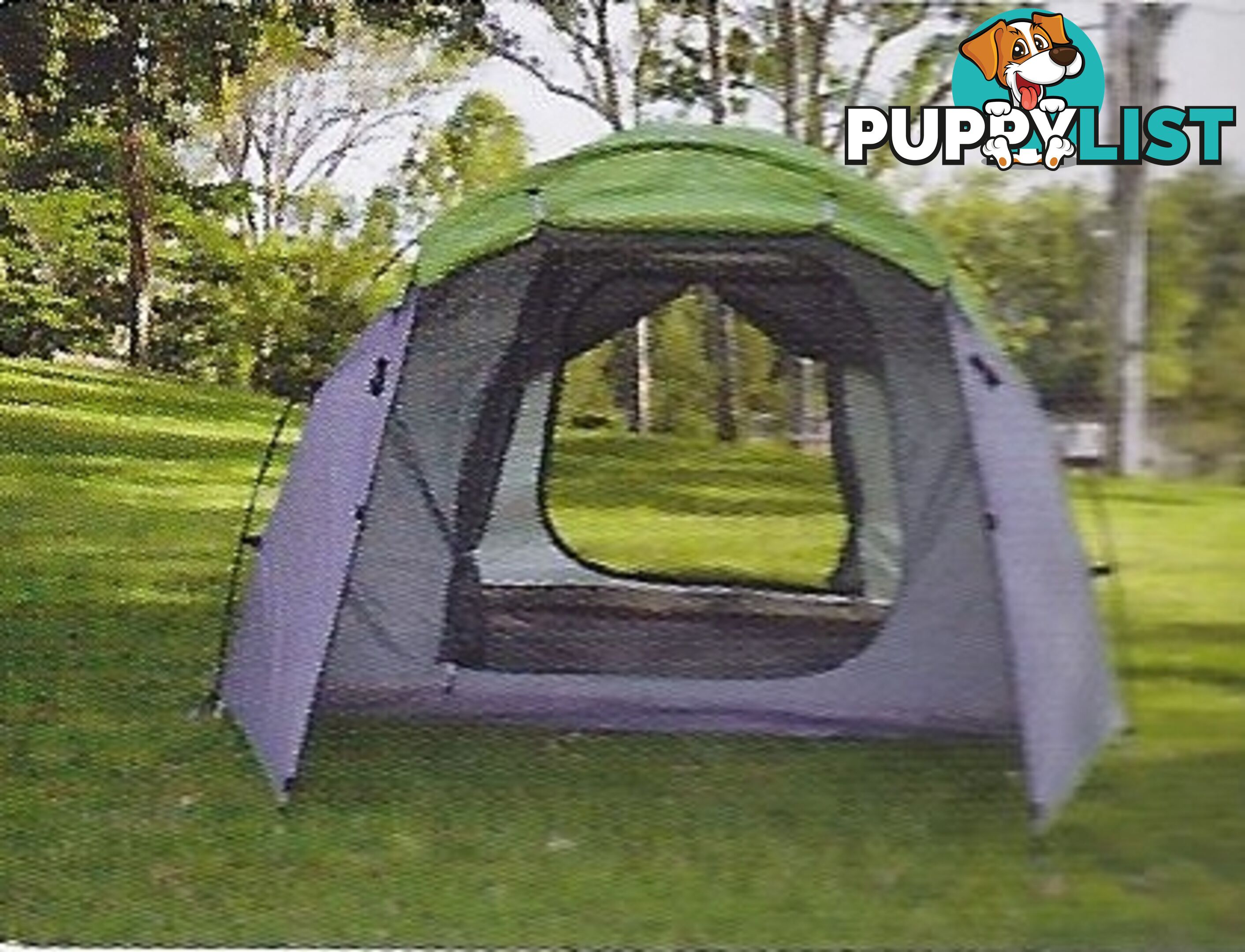 Dome Tent 6 Person