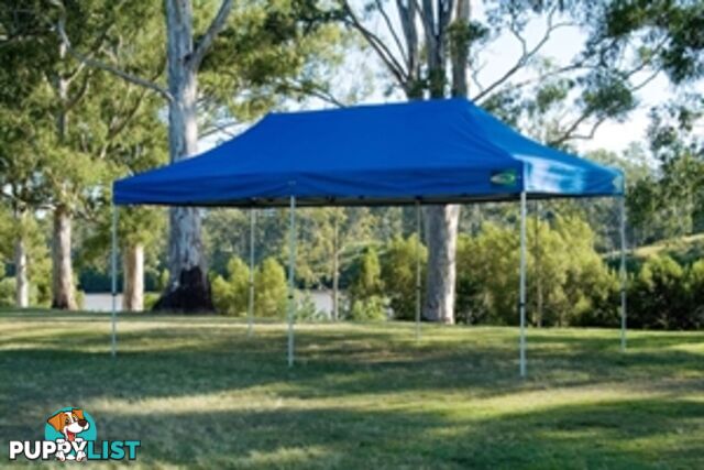 Gazebo 6 X 3 Premier