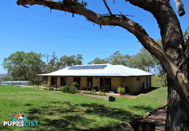 9 Holzwarts Road , Berat Allora QLD 4362