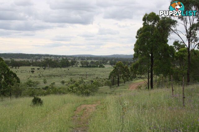 RODGERS CREEK QLD 4370