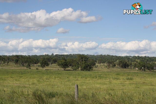 RODGERS CREEK QLD 4370