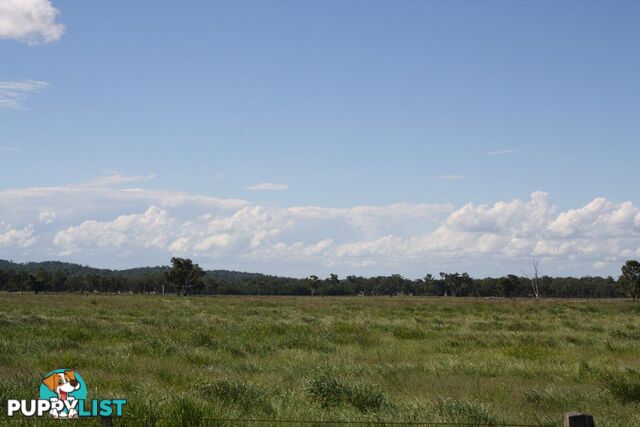 RODGERS CREEK QLD 4370