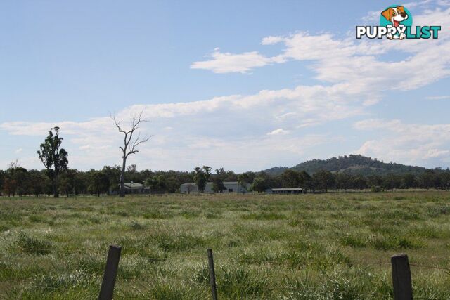 RODGERS CREEK QLD 4370