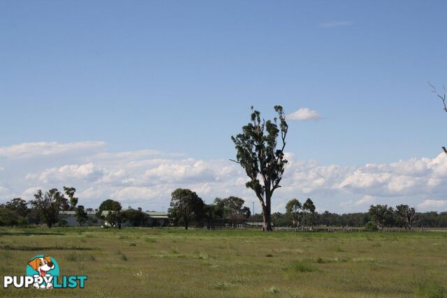 RODGERS CREEK QLD 4370