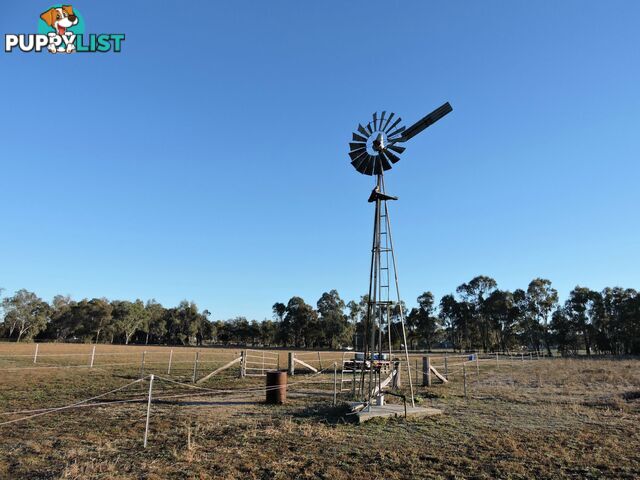 Lot 5 Canning Street WARWICK QLD 4370