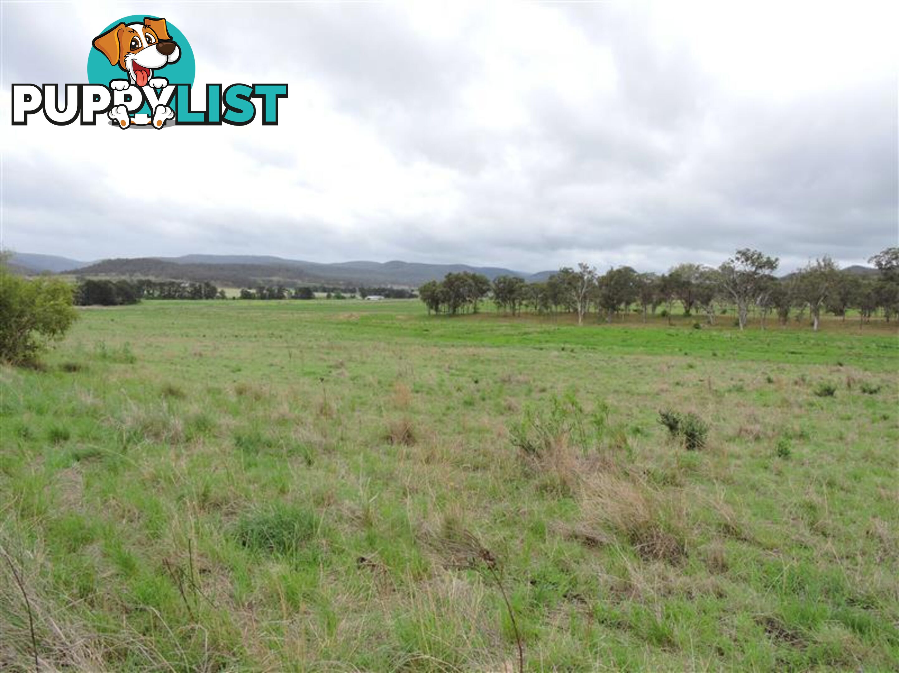 Lot 155 Frees Road Goomburra QLD 4362