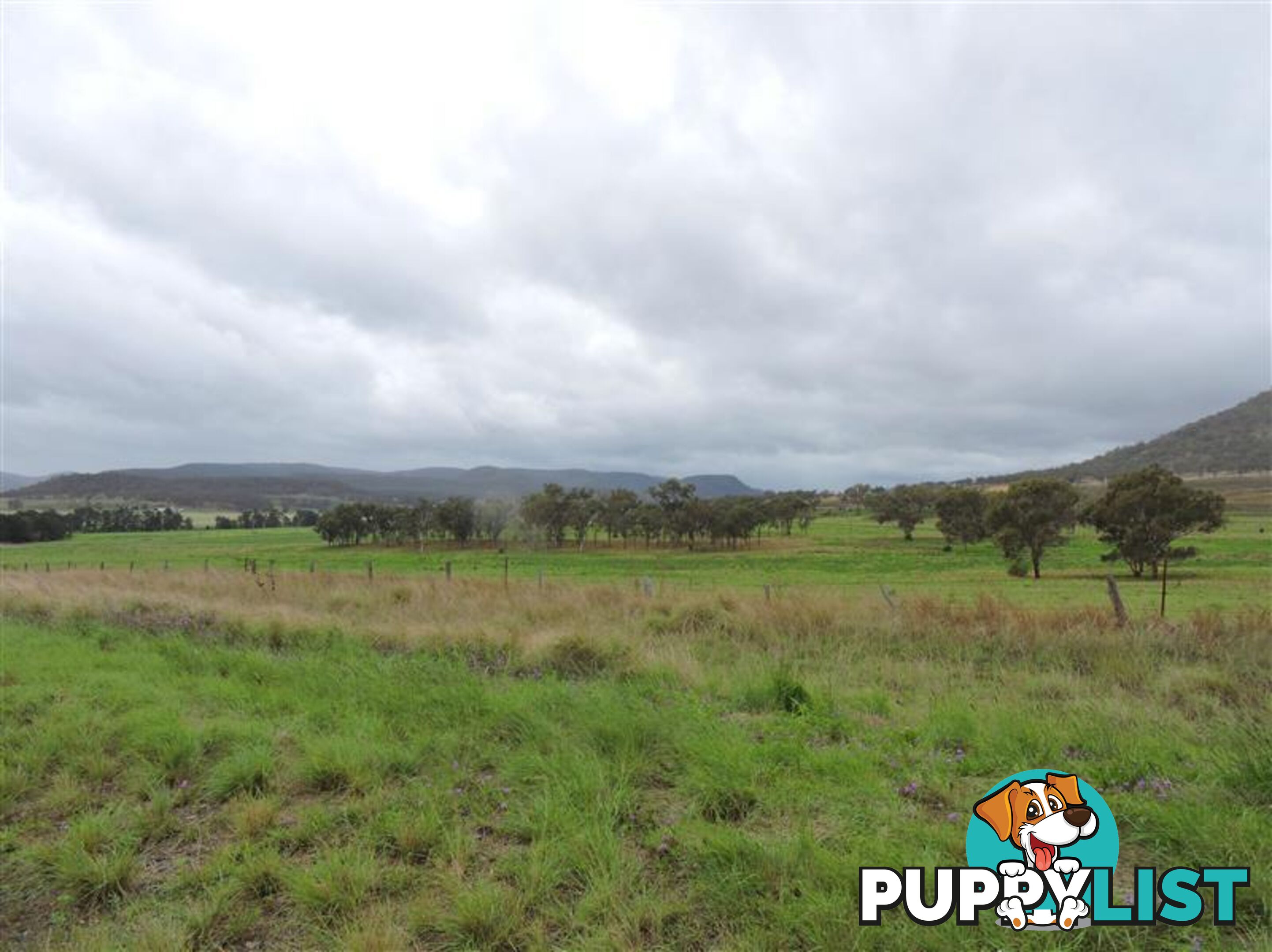 Lot 155 Frees Road Goomburra QLD 4362