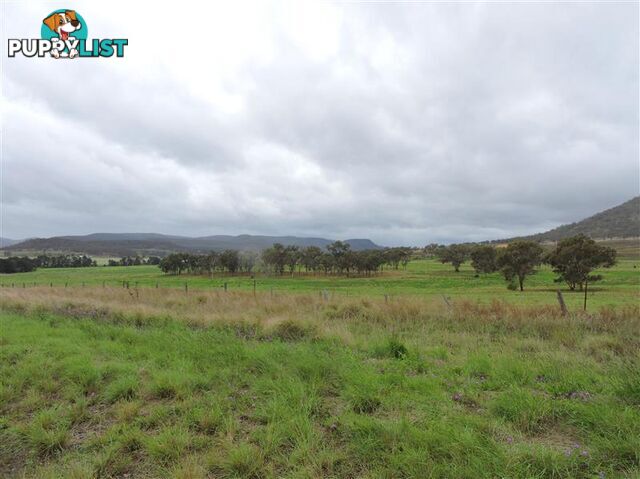 Lot 155 Frees Road Goomburra QLD 4362