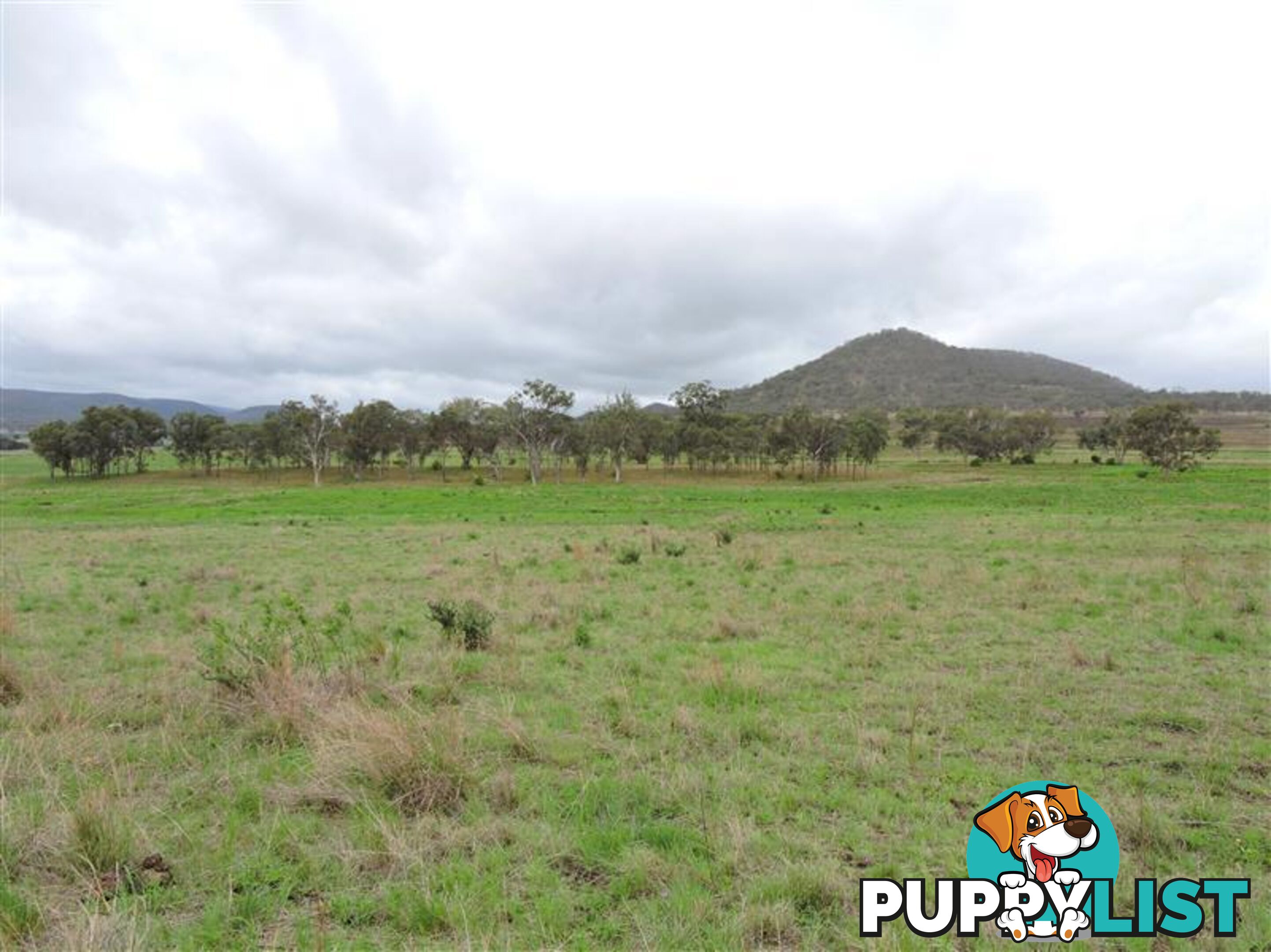 Lot 155 Frees Road Goomburra QLD 4362