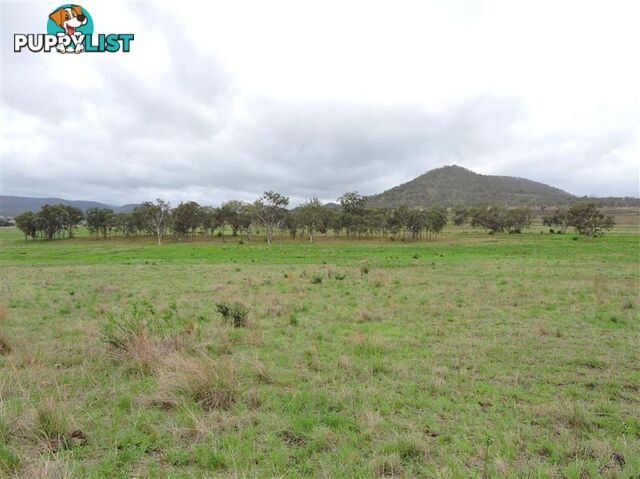 Lot 155 Frees Road Goomburra QLD 4362