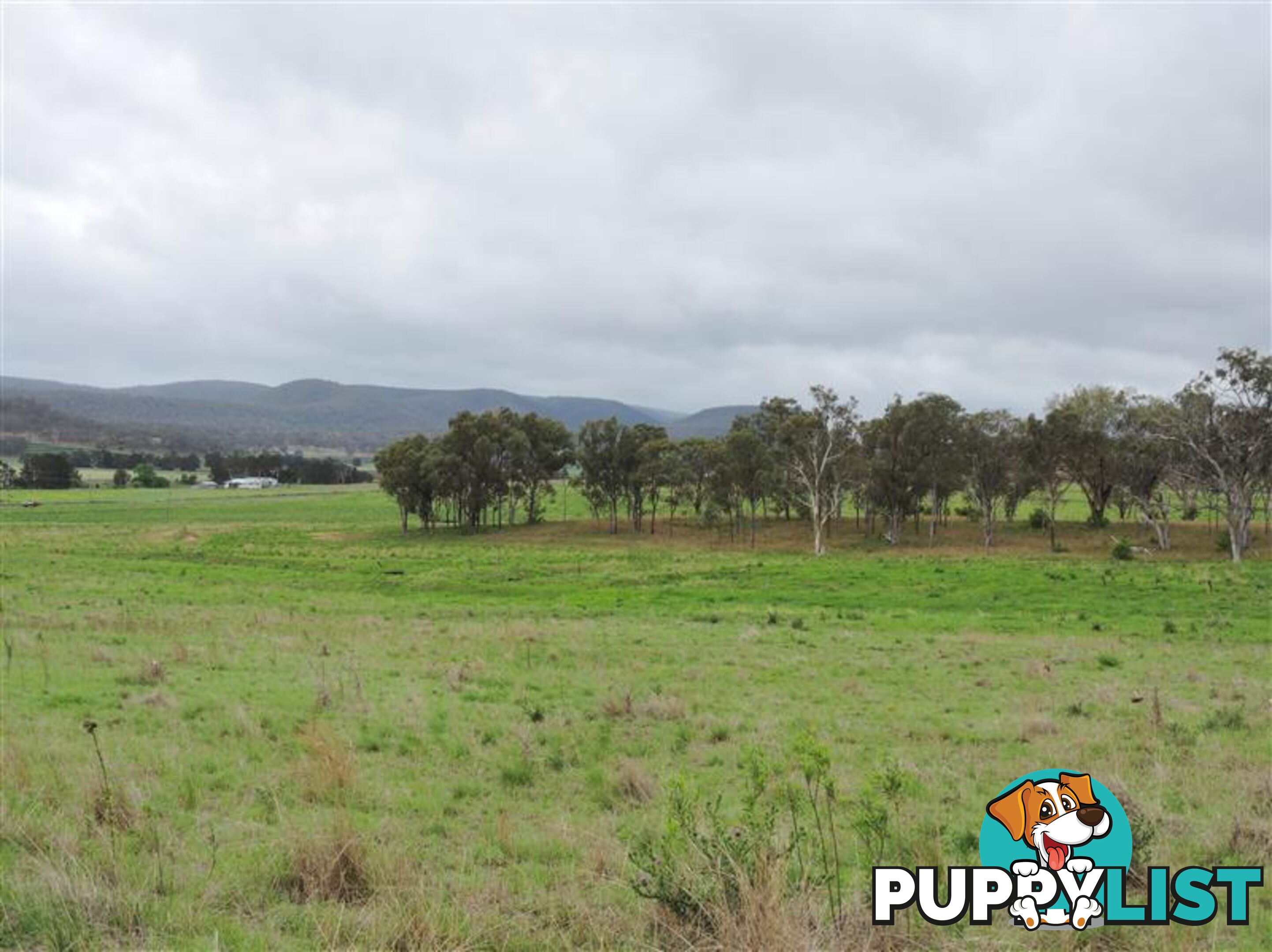 Lot 155 Frees Road Goomburra QLD 4362