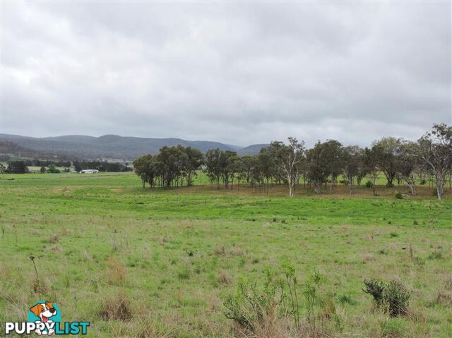 Lot 155 Frees Road Goomburra QLD 4362