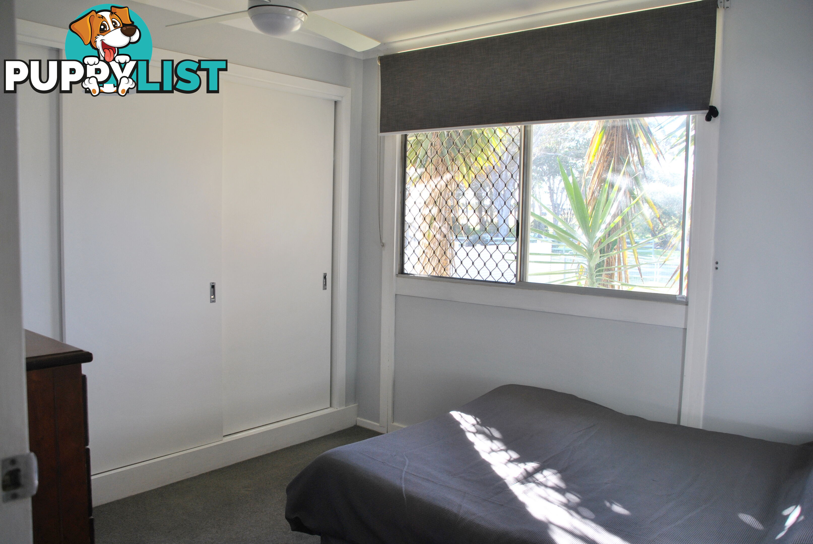 3 Diery St Rosenthal Heights QLD 4370