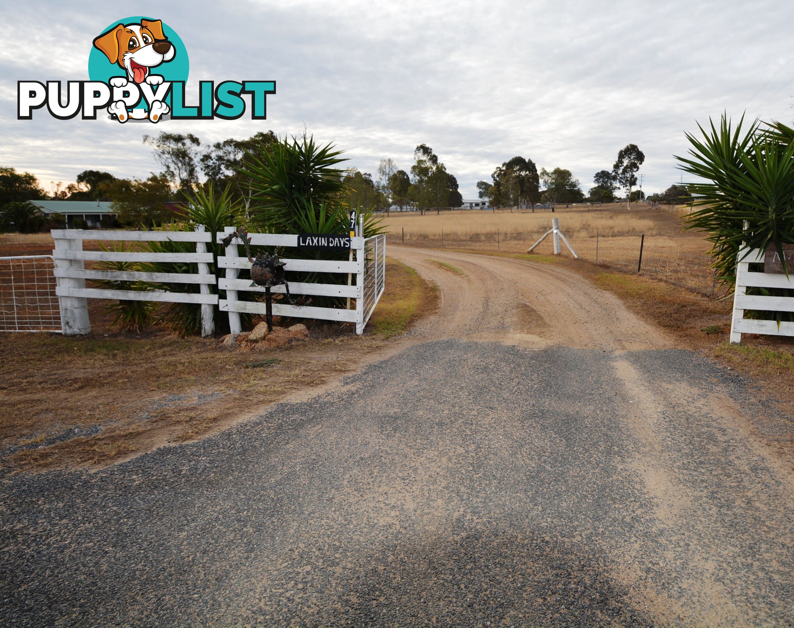 47 Campbell Rd Rosenthal Heights QLD 4370