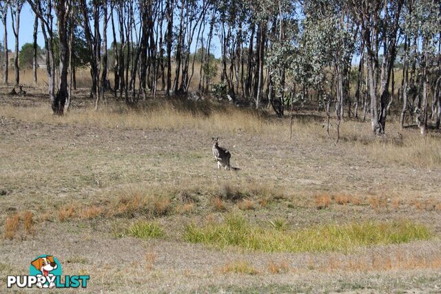 35 Warrabah Road KARARA QLD 4352