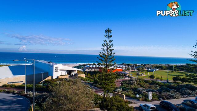 409/29 Leighton Beach Boulevard NORTH FREMANTLE WA 6159