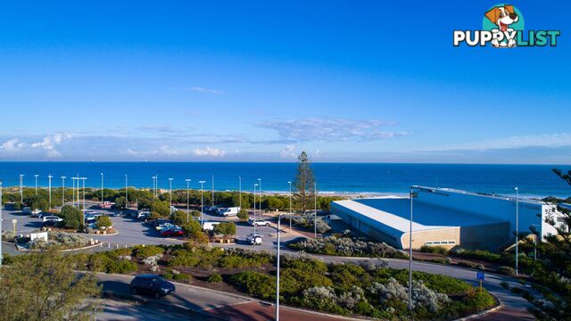 409/29 Leighton Beach Boulevard NORTH FREMANTLE WA 6159