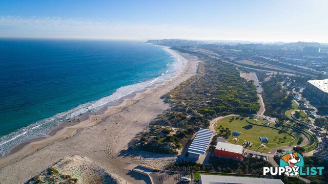 409/29 Leighton Beach Boulevard NORTH FREMANTLE WA 6159