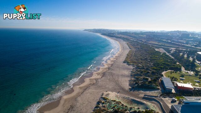 409/29 Leighton Beach Boulevard NORTH FREMANTLE WA 6159