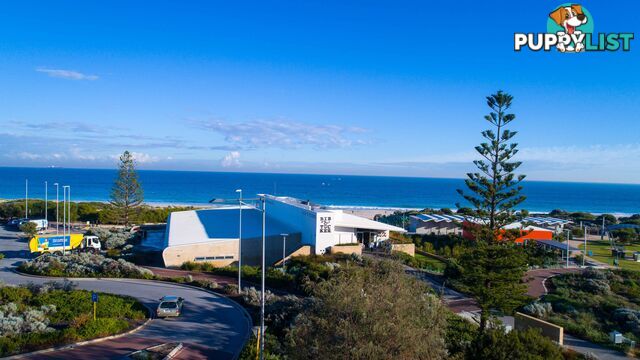 409/29 Leighton Beach Boulevard NORTH FREMANTLE WA 6159