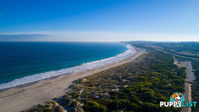 410/29 Leighton Beach Boulevard NORTH FREMANTLE WA 6159