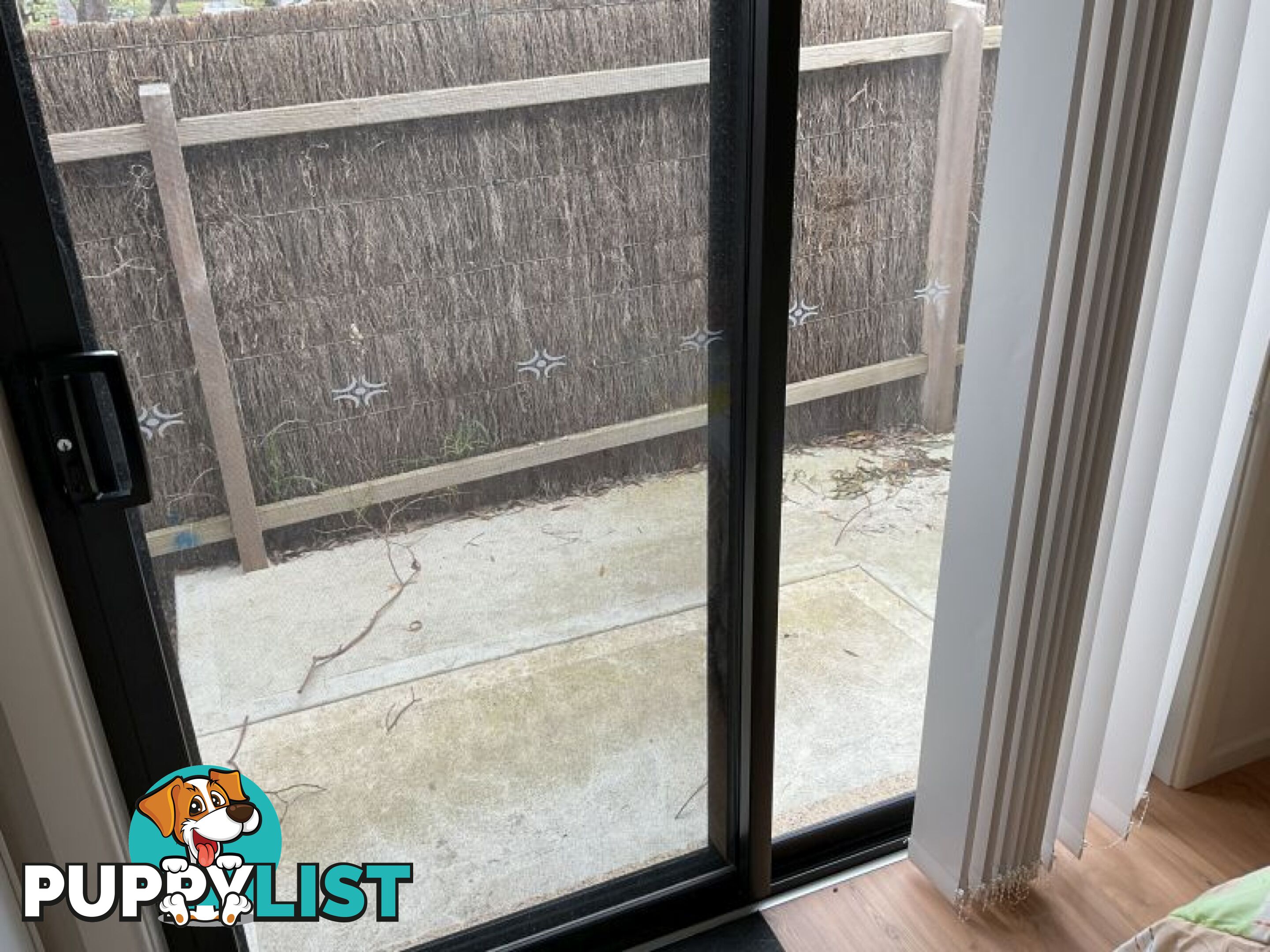 1 Beaconsfield  Court Somerville VIC 3912