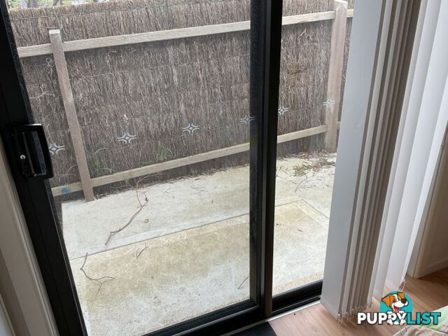 1 Beaconsfield  Court Somerville VIC 3912