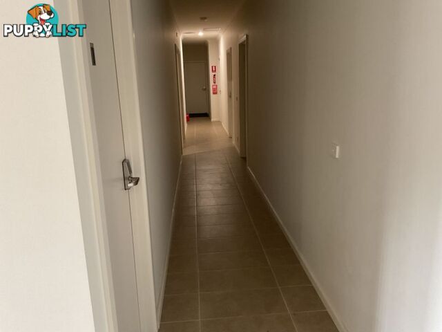 1 Beaconsfield  Court Somerville VIC 3912