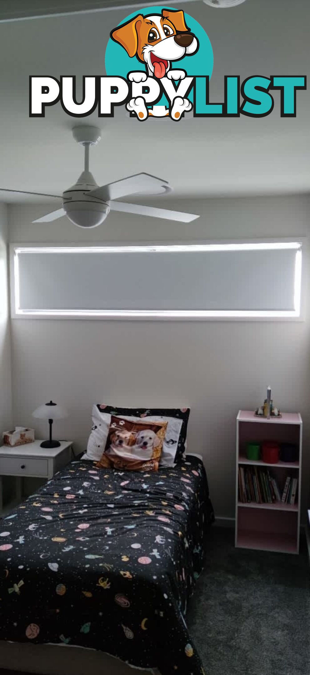 ROLLER BLINDS BRAND NEW FROM $50.00 VARIOUS SIZES SEE DESCRIPTION