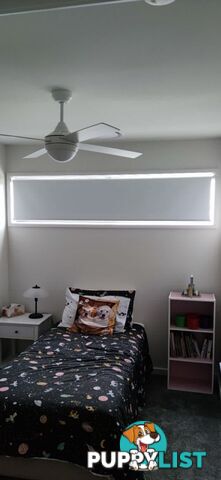 ROLLER BLINDS BRAND NEW FROM $50.00 VARIOUS SIZES SEE DESCRIPTION