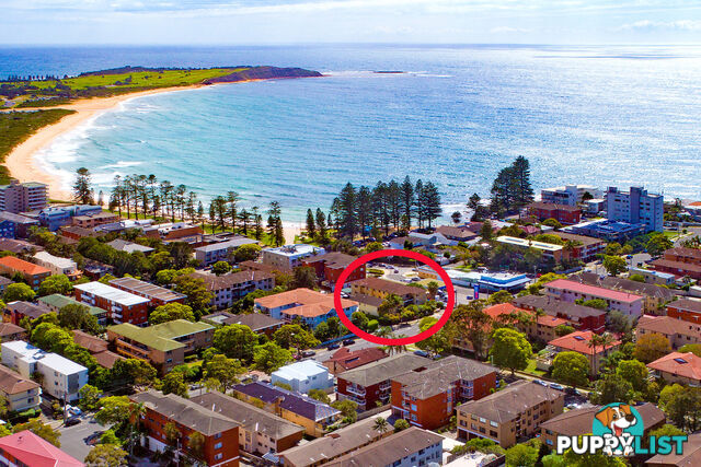 6/146 Pacific Parade DEE WHY NSW 2099