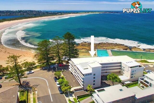 1/2 Monash Parade DEE WHY NSW 2099