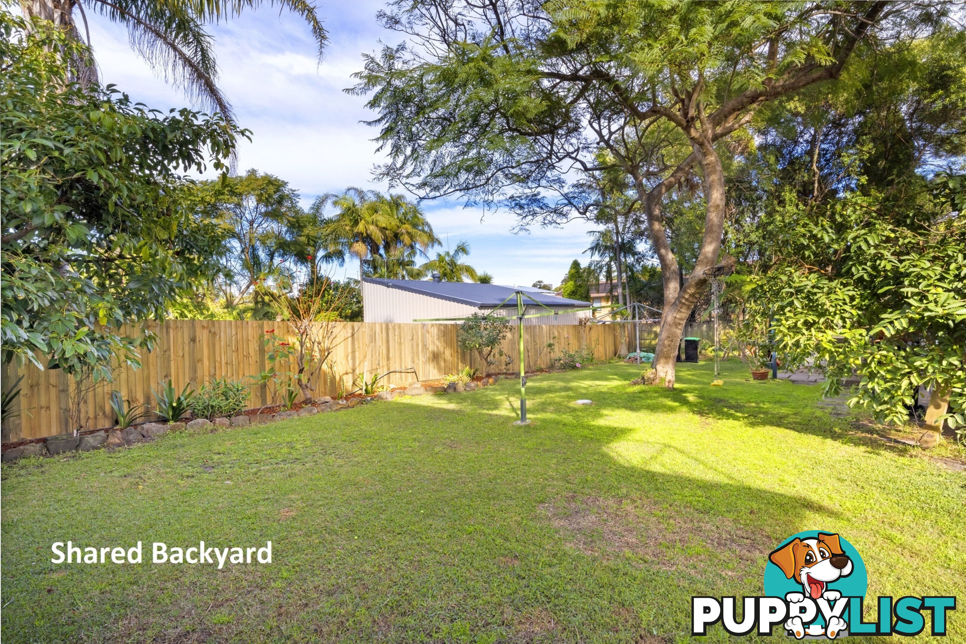 2/31 South Creek Road DEE WHY NSW 2099