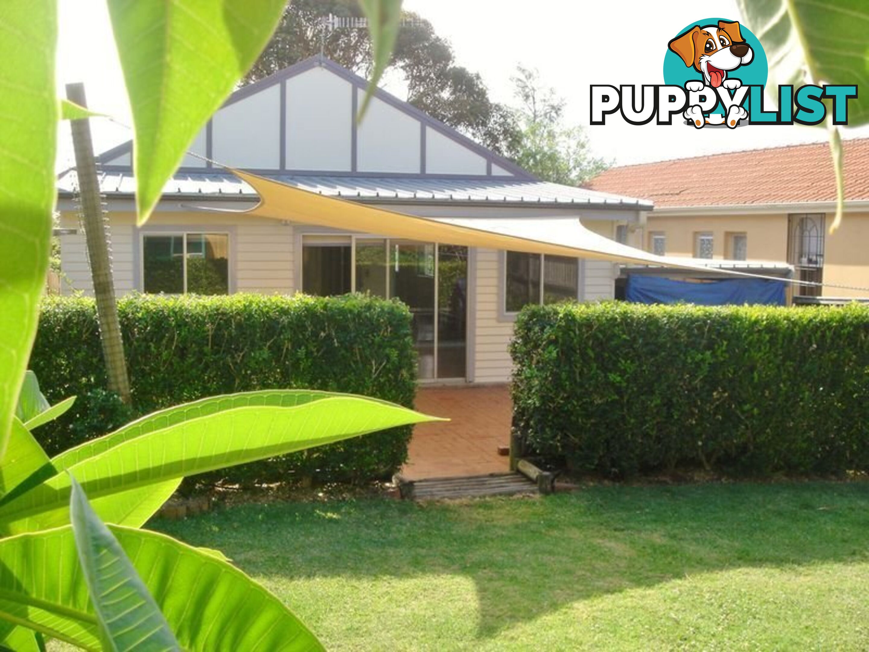 101 Fuller Street COLLAROY PLATEAU NSW 2097