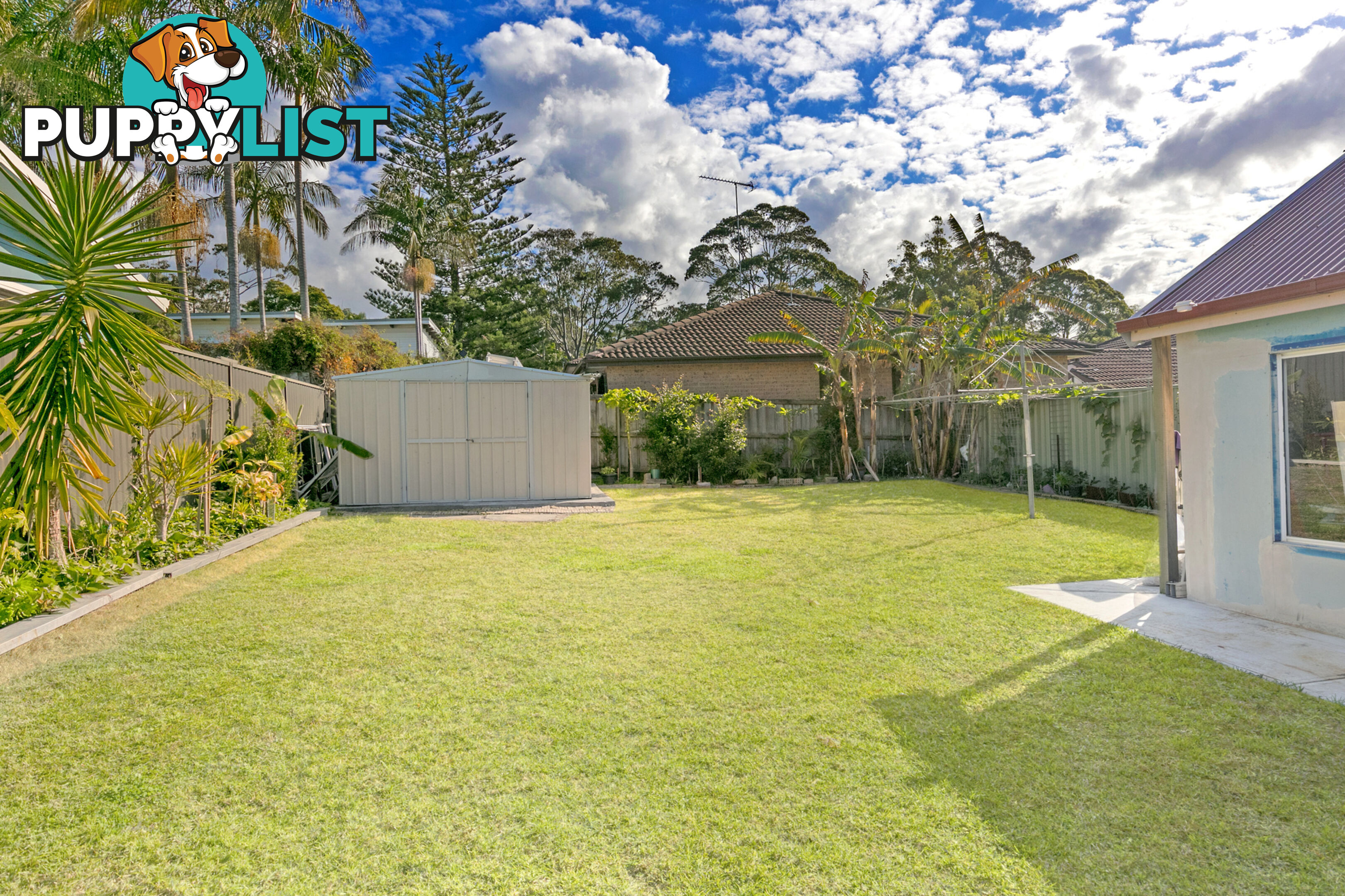 50 Edward Street NARRAWEENA NSW 2099