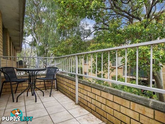 6/19 Holborn Avenue DEE WHY NSW 2099