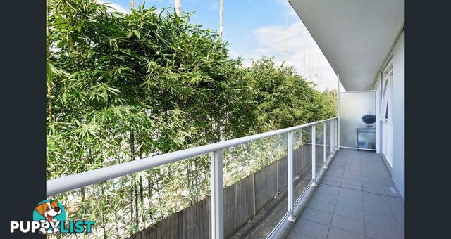 10/103 Pitt Road NORTH CURL CURL NSW 2099