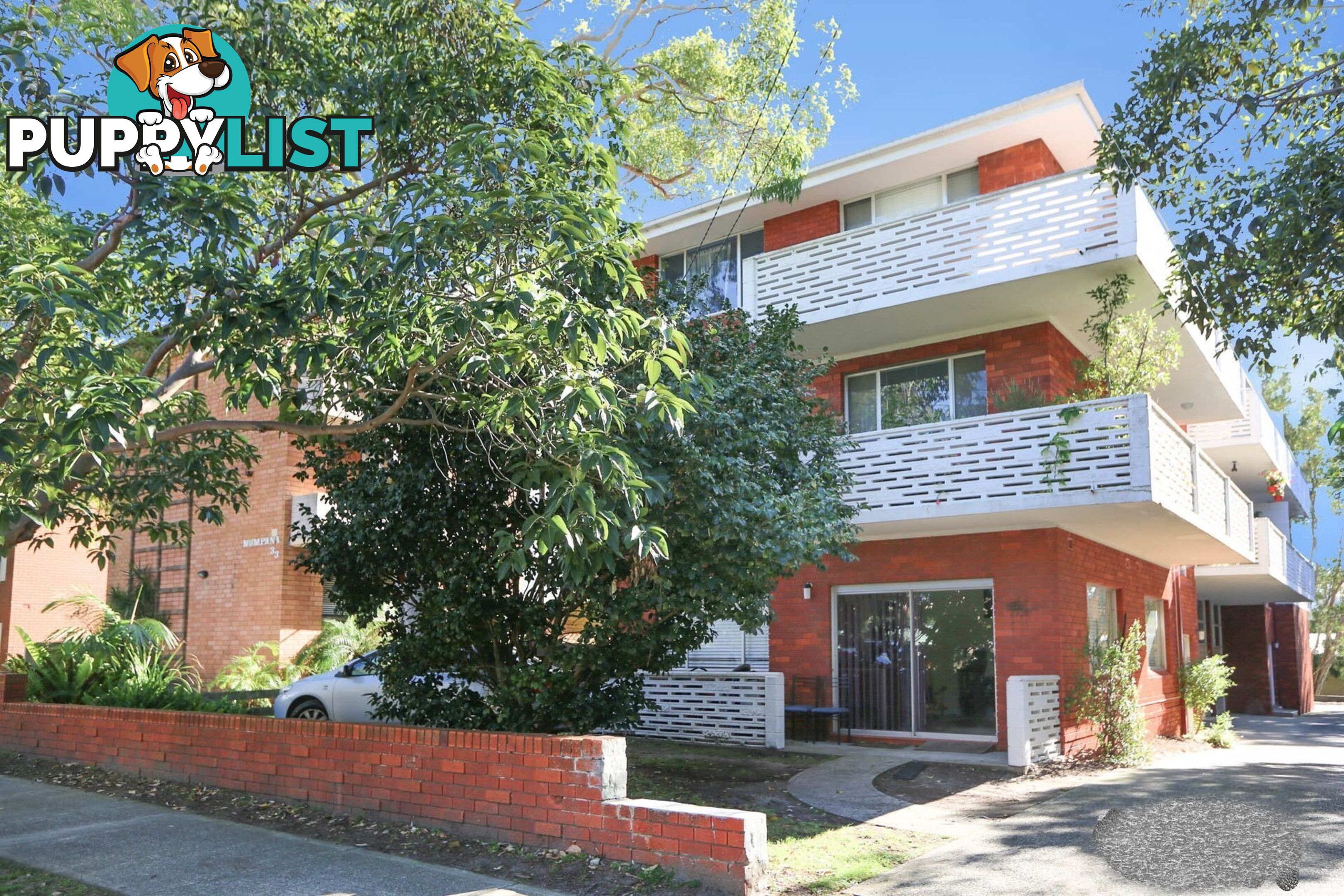 8/31 Lismore Avenue DEE WHY NSW 2099