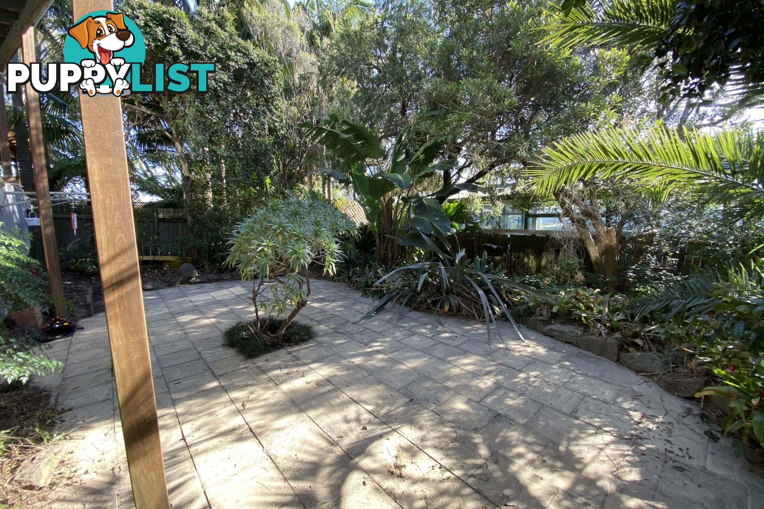 Flat/60 Tango Avenue DEE WHY NSW 2099