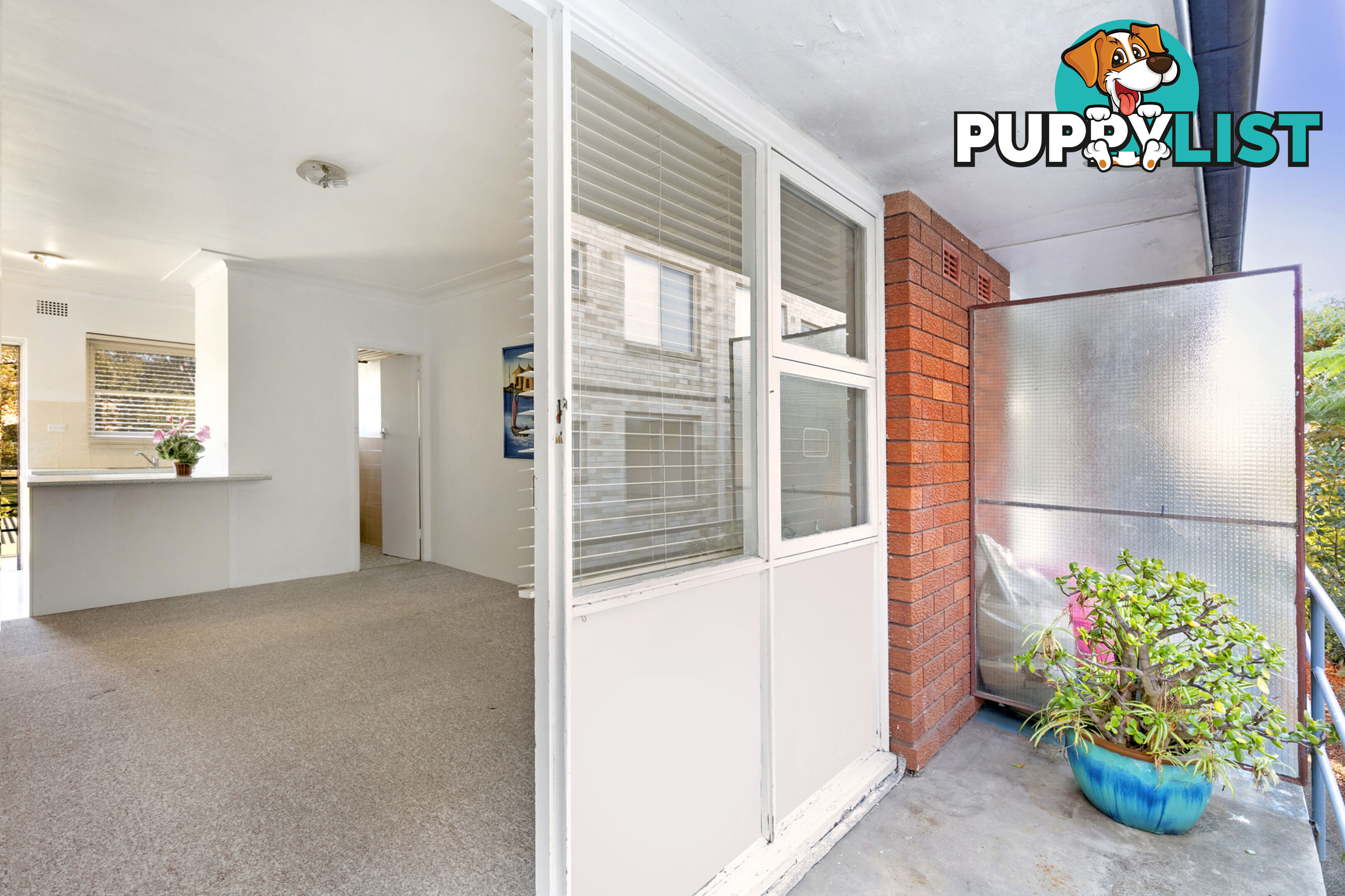 8/42 Howard Avenue DEE WHY NSW 2099