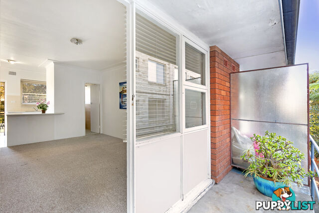 8/42 Howard Avenue DEE WHY NSW 2099