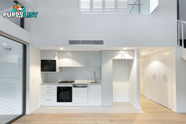 16/21-23 Brookvale Avenue BROOKVALE NSW 2100
