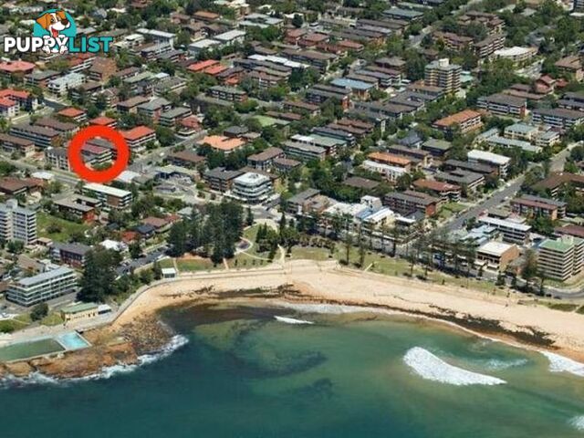 8/139 Pacific Parade DEE WHY NSW 2099